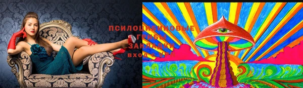 марихуана Баксан
