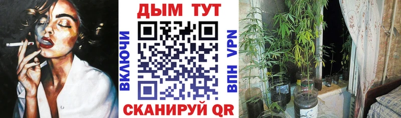 дарнет шоп Отрадная кракен ссылки Каннабис SATIVA & INDICA